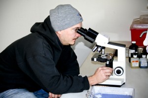 micro