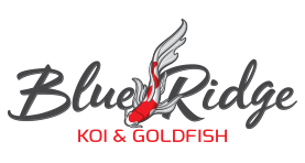 Blue Ridge Koi & Goldfish