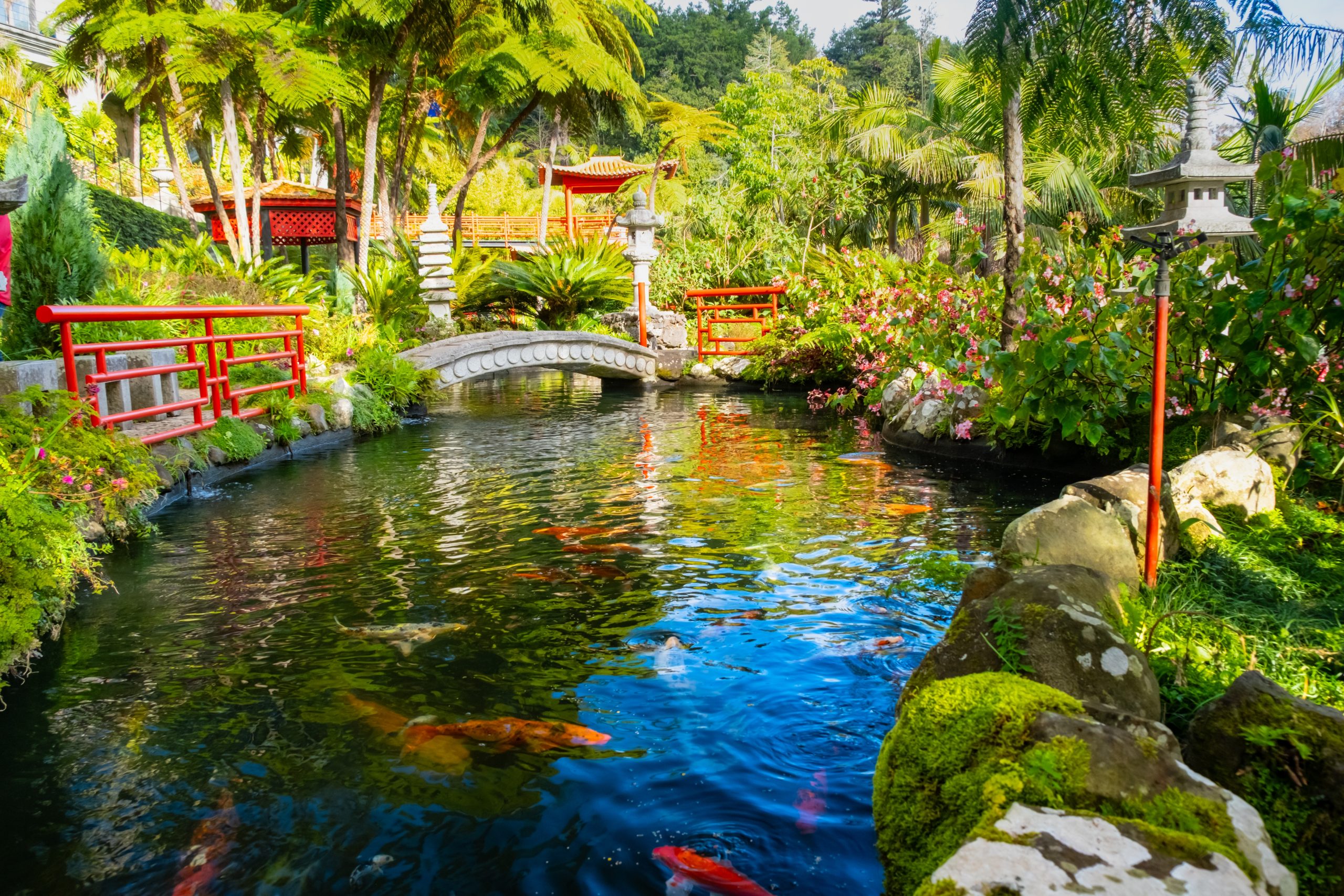 Pond with bridge over it