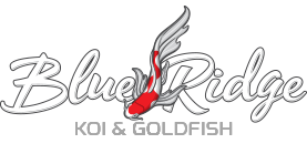 Blue Ridge Koi & Goldfish