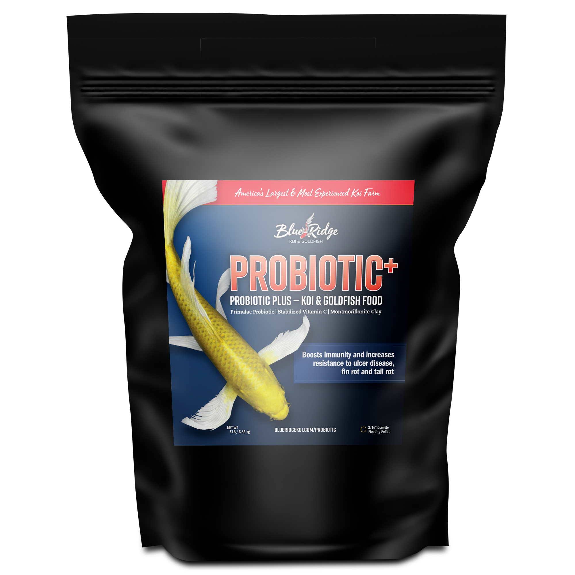 Probiotic Plus
